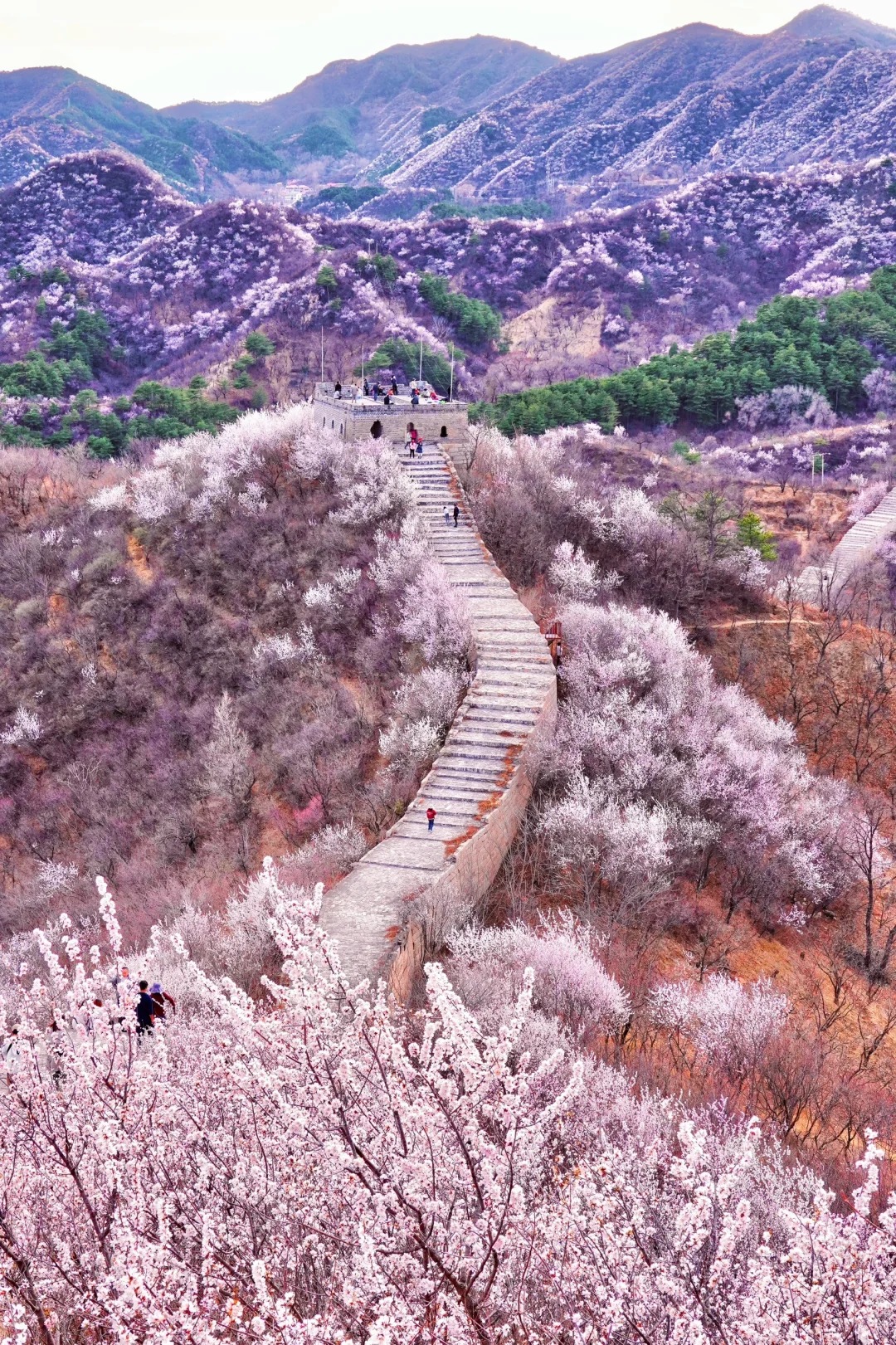 Great Wall hiking in spring