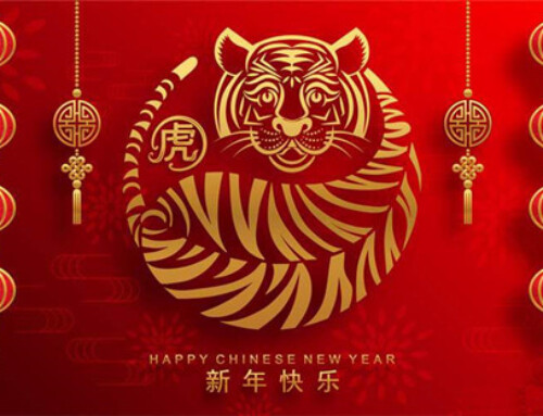 The Year of the Tiger 2022